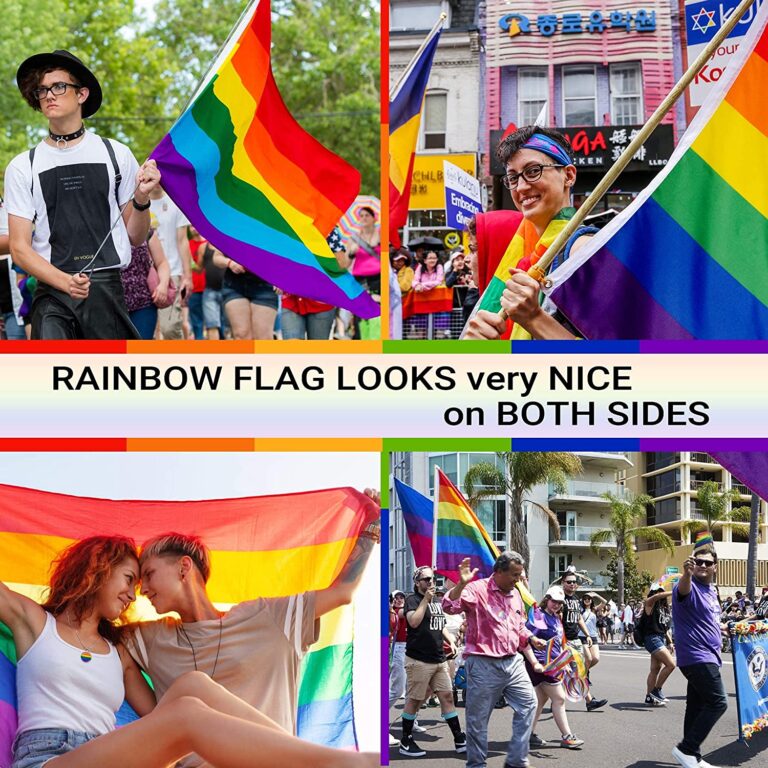 Gay flag (3)